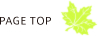 PAGE TOP